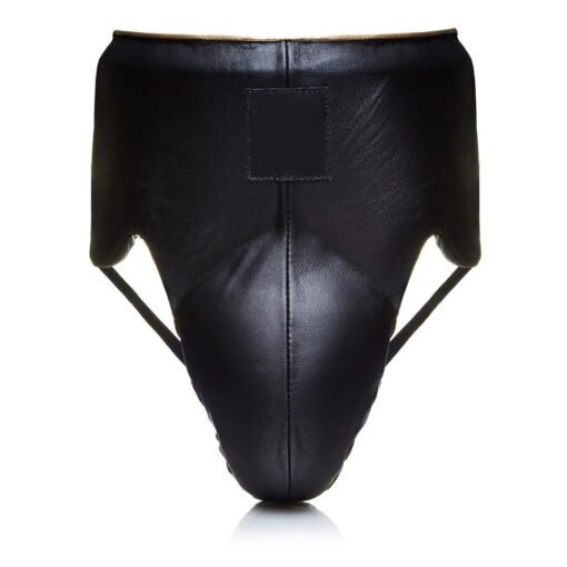 groin-guard-5.jpg